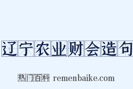 辽宁农业财会造句是什么意思的图片